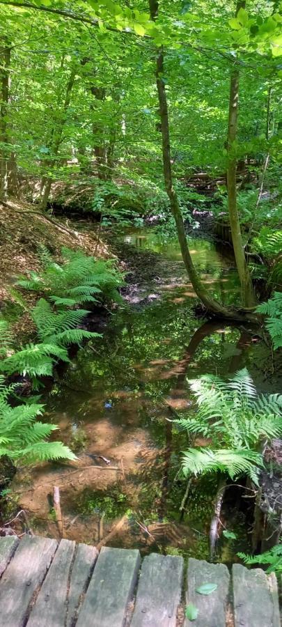 Vila 'T Uiltje Ermelo Exteriér fotografie