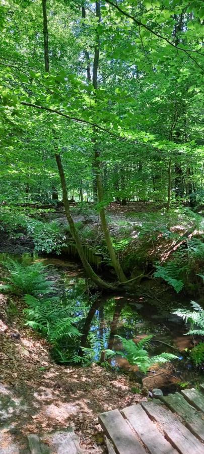 Vila 'T Uiltje Ermelo Exteriér fotografie
